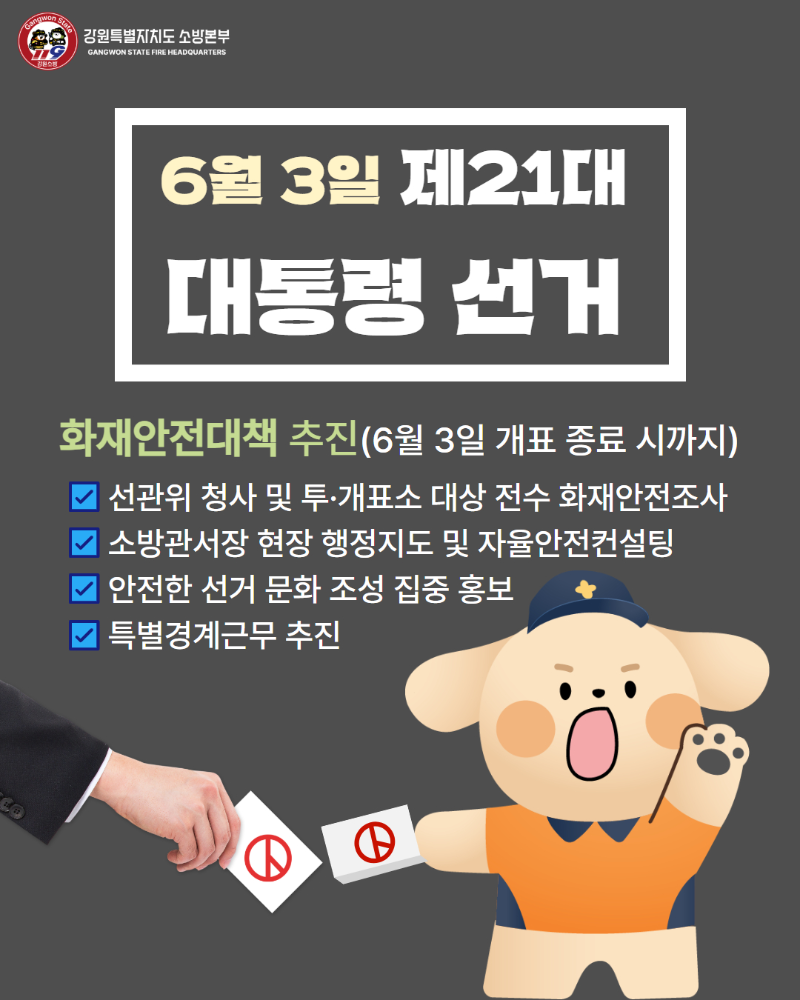 250514 제21대 대통령 선거 대비.jpg