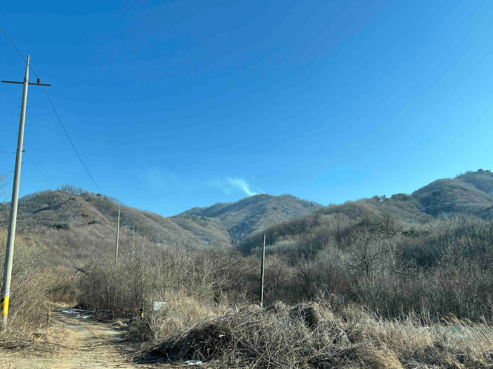 철원산불.jpg