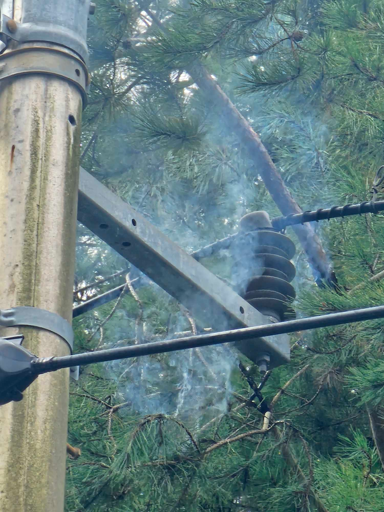 (1252)춘천 동면 장학리 전신주화재.jpg