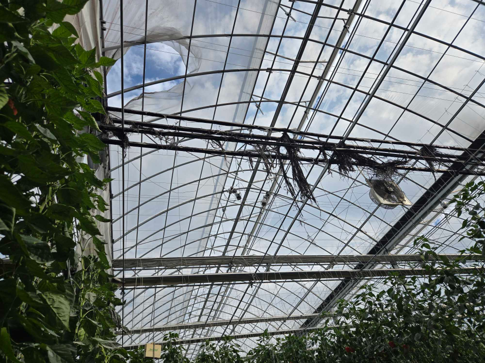 (1411)평창 대화면 하안미리 비닐하우스화재.jpg