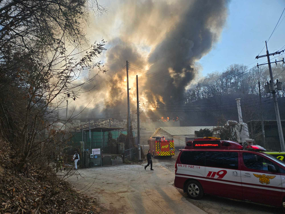 (1449) 원주 지정면 돈사 화재 현장활동사진2.jpg