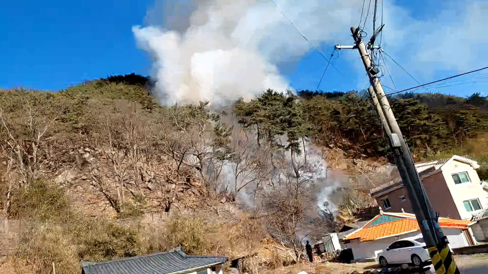 1033 강릉 산림화재2.jpg