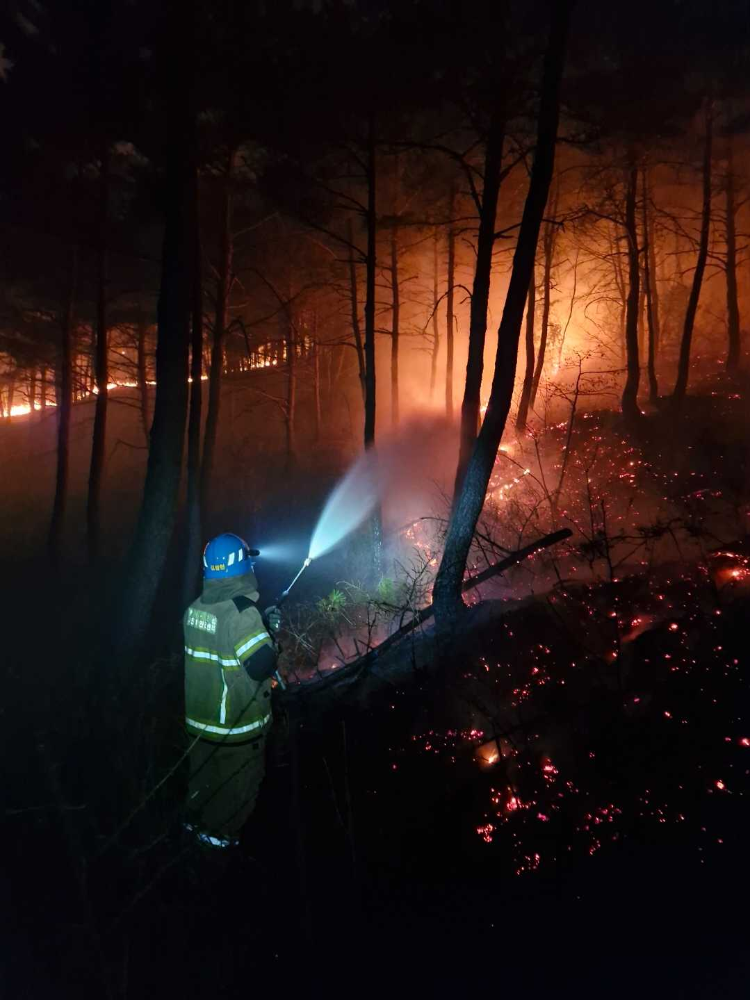 2030 고성 거진읍 화포리 산림화재 현장활동 사진1.jpg