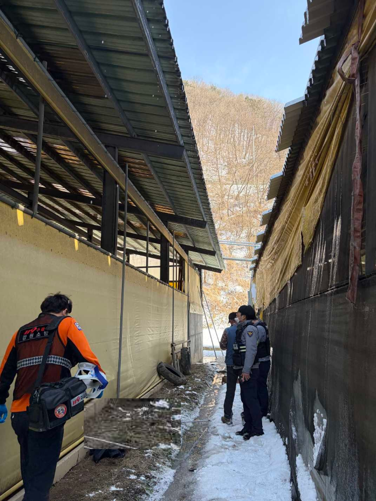 1354 화천 추락사고.jpg