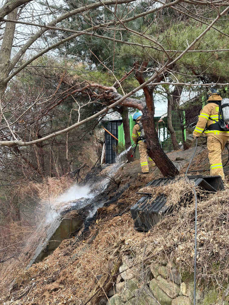 1051 인제 합강리 도로변 시초류 화재.jpg