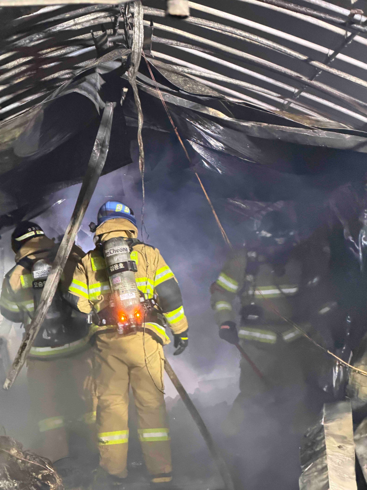 2014 삼척 비닐하우스 화재.jpg
