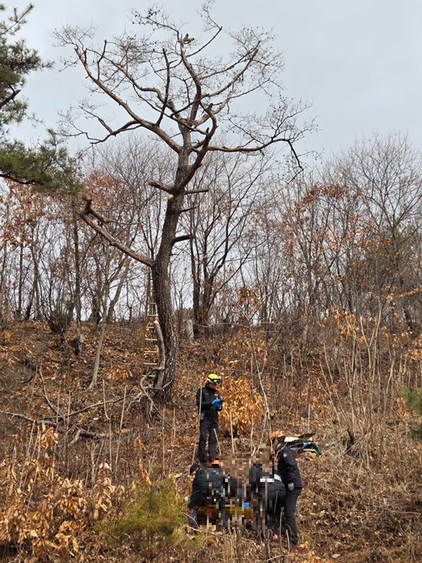 0944 춘천 사북면 인람리 추락사고-1.jpg