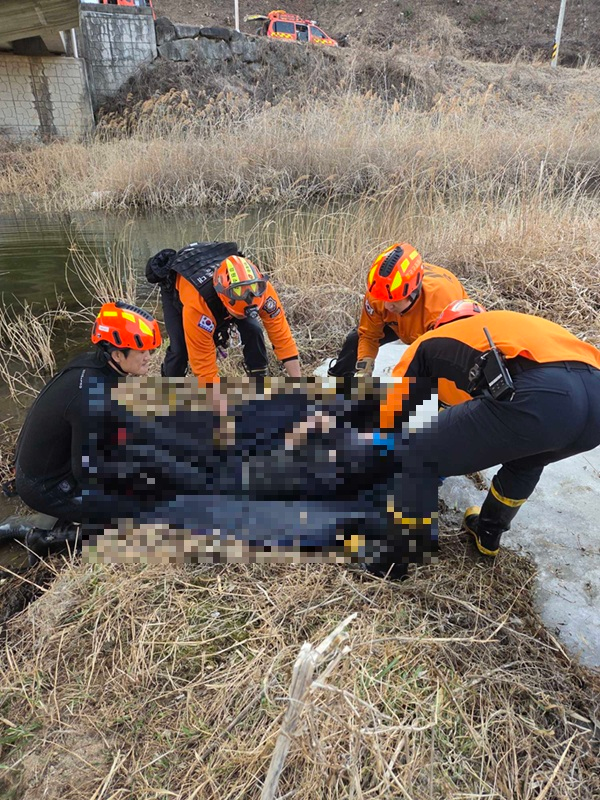 1646 양구 양구읍 한전리 익수자-2.jpg