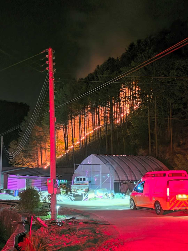 2213 홍천 내면 산림화재.jpg