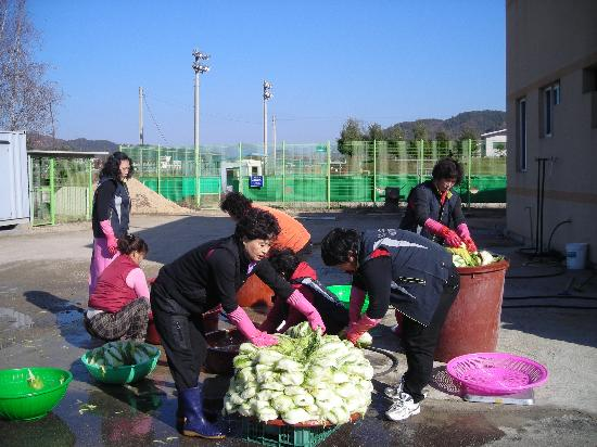 김장2.jpg