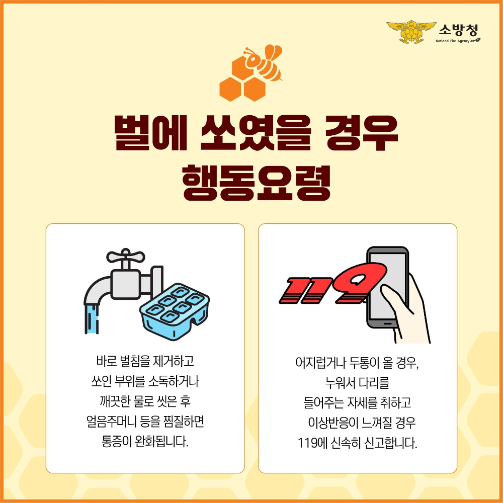 벌에 쏘였을 경우 행동요령.jpg