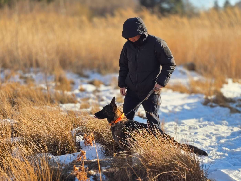 3.구조견 야지 훈련 사진.JPG